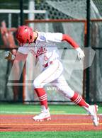 Photo from the gallery "San Domenico @ University"