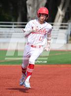 Photo from the gallery "San Domenico @ University"