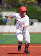 Photo from the gallery "San Domenico @ University"