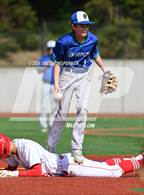 Photo from the gallery "San Domenico @ University"