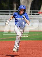 Photo from the gallery "San Domenico @ University"