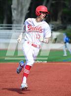 Photo from the gallery "San Domenico @ University"