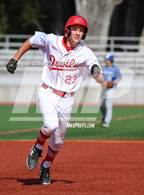 Photo from the gallery "San Domenico @ University"