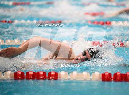 Thumbnail 1 in CHSAA 4A Swim Finals photogallery.