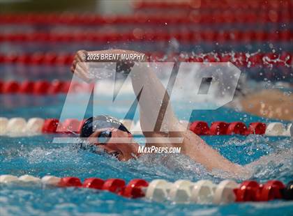 Thumbnail 2 in CHSAA 4A Swim Finals photogallery.