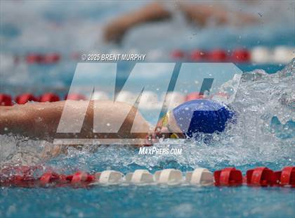 Thumbnail 2 in CHSAA 4A Swim Finals photogallery.