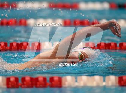 Thumbnail 2 in CHSAA 4A Swim Finals photogallery.