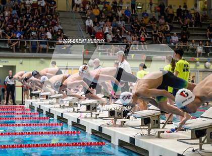 Thumbnail 2 in CHSAA 4A Swim Finals photogallery.
