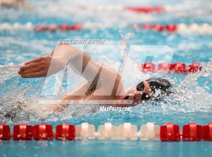 Thumbnail 2 in CHSAA 4A Swim Finals photogallery.