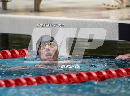 Thumbnail 1 in CHSAA 4A Swim Finals photogallery.