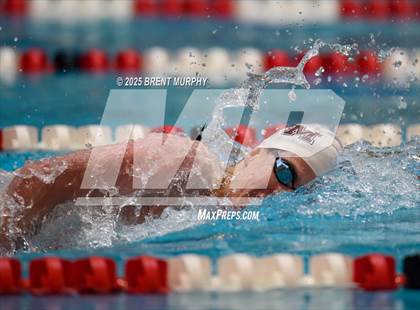 Thumbnail 1 in CHSAA 4A Swim Finals photogallery.