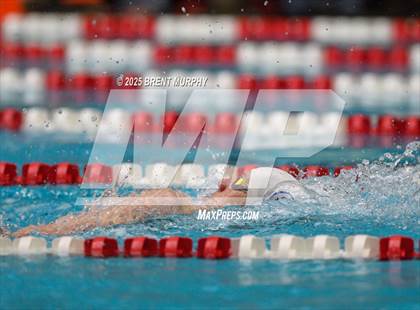 Thumbnail 1 in CHSAA 4A Swim Finals photogallery.