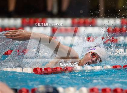 Thumbnail 2 in CHSAA 4A Swim Finals photogallery.