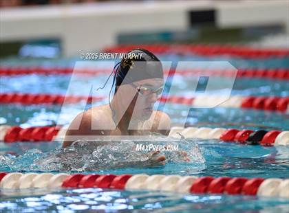 Thumbnail 3 in CHSAA 4A Swim Finals photogallery.