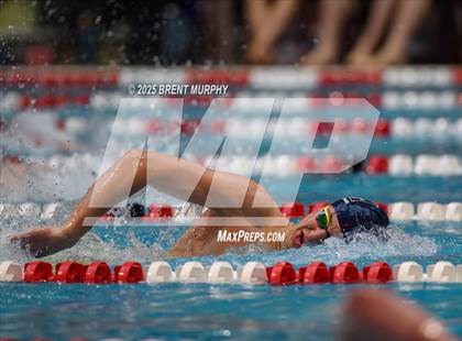 Thumbnail 3 in CHSAA 4A Swim Finals photogallery.