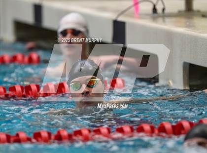 Thumbnail 2 in CHSAA 4A Swim Finals photogallery.