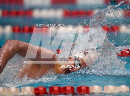 Thumbnail 1 in CHSAA 4A Swim Finals photogallery.