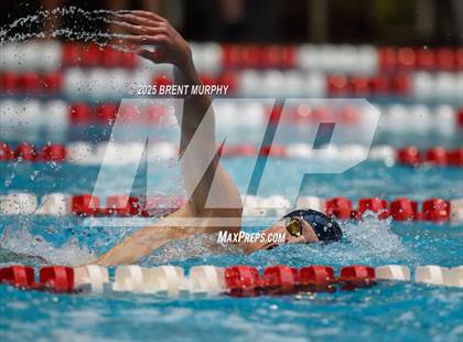 Thumbnail 1 in CHSAA 4A Swim Finals photogallery.