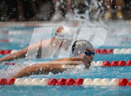 Thumbnail 3 in CHSAA 4A Swim Finals photogallery.