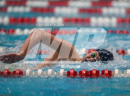 Thumbnail 1 in CHSAA 4A Swim Finals photogallery.