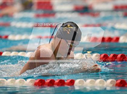 Thumbnail 2 in CHSAA 4A Swim Finals photogallery.