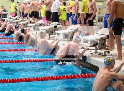 Thumbnail 3 in CHSAA 4A Swim Finals photogallery.