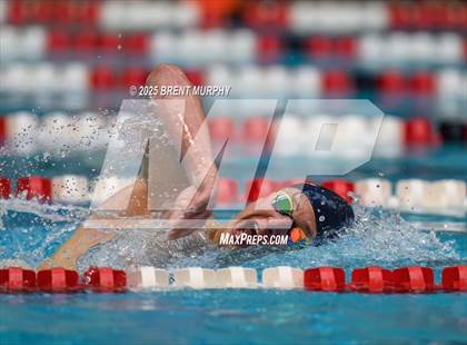 Thumbnail 1 in CHSAA 4A Swim Finals photogallery.