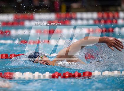 Thumbnail 3 in CHSAA 4A Swim Finals photogallery.