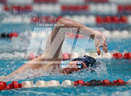 Thumbnail 3 in CHSAA 4A Swim Finals photogallery.