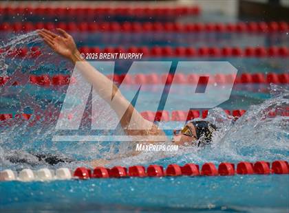 Thumbnail 3 in CHSAA 4A Swim Finals photogallery.