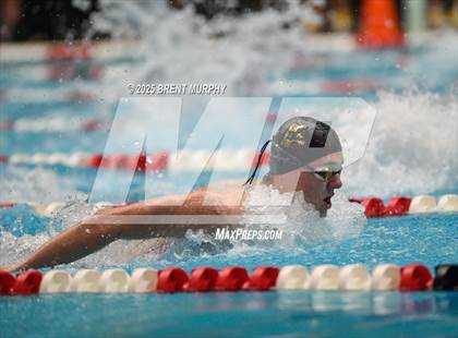 Thumbnail 2 in CHSAA 4A Swim Finals photogallery.