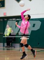 Photo from the gallery "Taos @ Los Alamos"