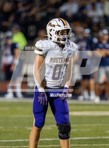 Thumbnail 3 in Plum @ Shaler Area photogallery.
