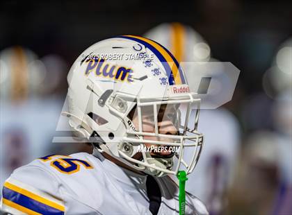 Thumbnail 1 in Plum @ Shaler Area photogallery.