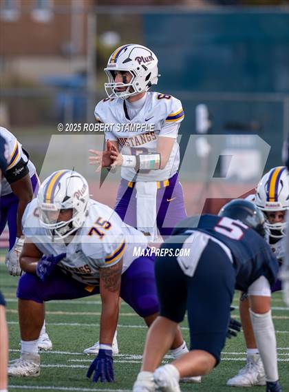 Thumbnail 1 in Plum @ Shaler Area photogallery.