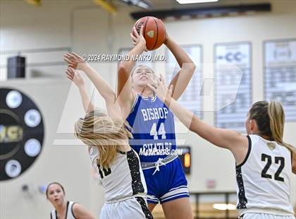 Thumbnail 3 in Indianapolis Bishop Chatard @ Mt. Vernon photogallery.