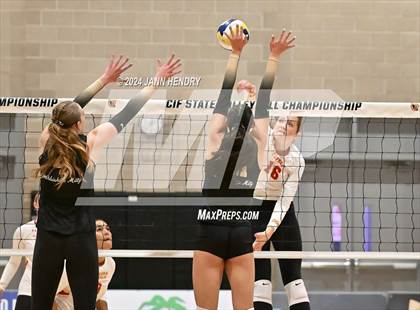 Thumbnail 3 in Archbishop Mitty vs Cathedral Catholic (CIF Open Division Final) photogallery.