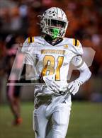 Photo from the gallery "University Lab @ Catholic"