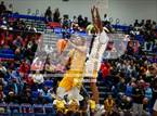 Photo from the gallery "Whitehaven vs Camden (Memphis Hoopfest)"