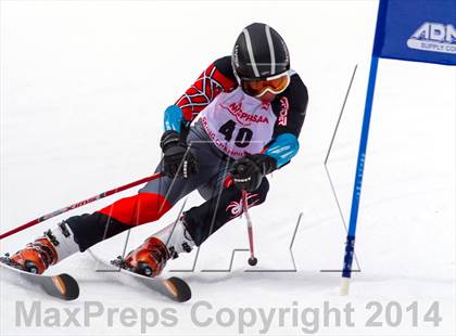 Thumbnail 2 in NYSPHSAA  Alpine Championships (Giant Slalom) photogallery.