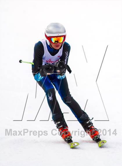 Thumbnail 2 in NYSPHSAA  Alpine Championships (Giant Slalom) photogallery.