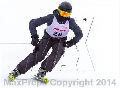 Thumbnail 2 in NYSPHSAA  Alpine Championships (Giant Slalom) photogallery.