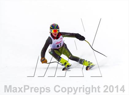 Thumbnail 2 in NYSPHSAA  Alpine Championships (Giant Slalom) photogallery.