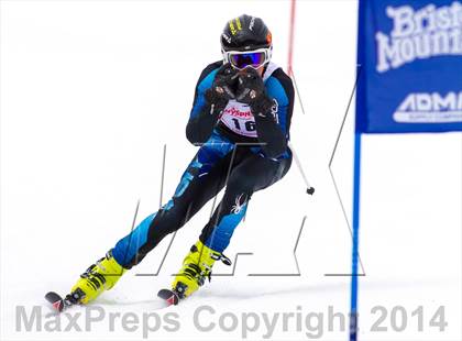 Thumbnail 2 in NYSPHSAA  Alpine Championships (Giant Slalom) photogallery.