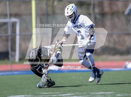 Thumbnail 1 in Staples vs St. Anthony's photogallery.