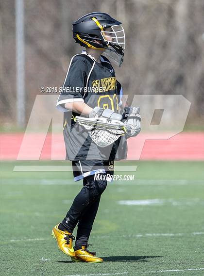 Thumbnail 3 in Staples vs St. Anthony's photogallery.