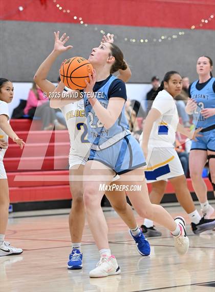 Thumbnail 2 in Pleasant Valley vs. Wood (Cardinal Classic) photogallery.