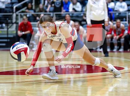 Thumbnail 1 in Wimberley vs. Randall (UIL 4A Volleyball Division II Final) photogallery.