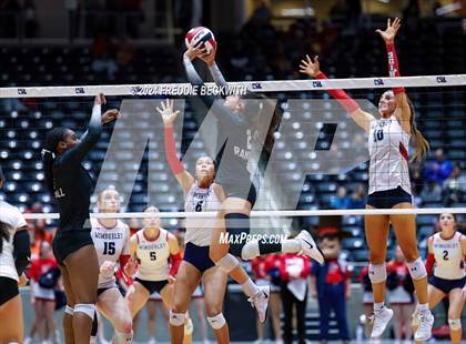 Thumbnail 3 in Wimberley vs. Randall (UIL 4A Volleyball Division II Final) photogallery.