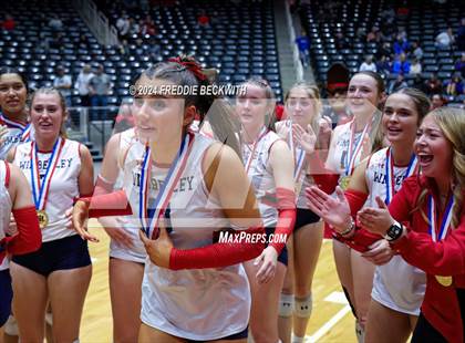 Thumbnail 1 in Wimberley vs. Randall (UIL 4A Volleyball Division II Final) photogallery.